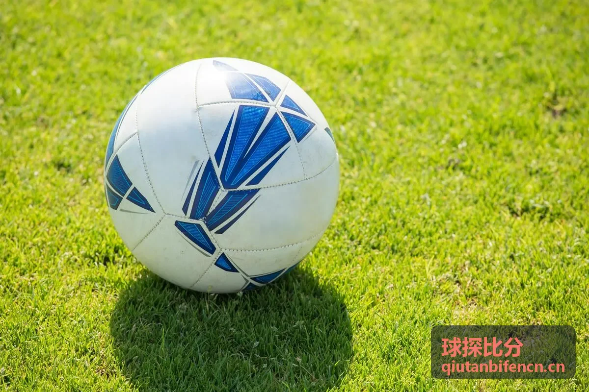球探比分实时赛事数据面板展示
